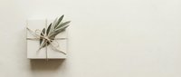 Minimalist gift box wrapped in beige paper with natural twine and olive branch on neutral background for sustainable packaging and eco-friendly celebrations.