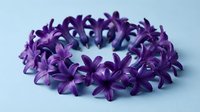 Purple hyacinth flowers arranged in circular wreath pattern on light blue background. Fresh spring blooms for floral design and seasonal decoration projects.
