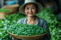 Mature Asian female farmer in sun hat holding basket of fresh microgreens in greenhouse setting, representing sustainable agriculture and organic farming.