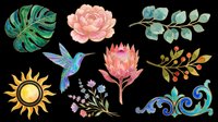 Watercolor botanical clipart set with tropical leaf, peony, protea, hummingbird, sun, berries, and ornament. Isolated on transparent background for stickers, sublimation, t-shirt design.