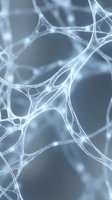Glowing neural network with interconnected nodes on a blue-gray background, depicting brain cells, AI, or biological science concepts.