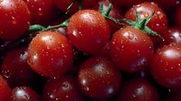 Fresh ripe cherry tomatoes with water drops on dark background, macro shot showing juicy red produce with green stems and natural moisture.