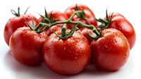 Fresh ripe red tomatoes on vine with water drops, bright and glossy surface against white background, macro food photography for healthy eating concept.