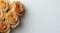 Fresh peach-colored roses arranged in corner composition on light background, creating elegant floral design space for text or greeting cards.