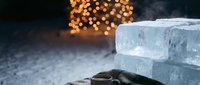 Young adult male with medium skin tone wearing winter gloves holding large ice cubes with warm golden bokeh lights blurred in dark background, conveying contrast between cold and warmth.