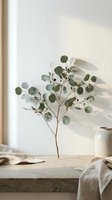 Eucalyptus branch with round green leaves arranged in ceramic vase on wooden surface against white wall with natural sunlight casting shadows, suitable for home decor and interior design projects.