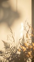 Delicate fern leaves and wild grass silhouettes in warm golden sunlight creating soft shadows on wall, natural botanical background for mindful living.