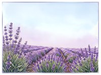 Watercolor lavender field with rows of purple blooms stretching to the horizon under a soft pastel sky, perfect for prints and cards.