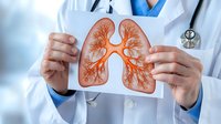 Medical professional in white coat holding anatomical illustration of human lungs showing detailed bronchial tree structure and respiratory system for healthcare education.