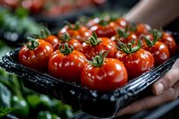 Fresh ripe cherry tomatoes on vine in black plastic container. Close up view of bright red organic produce with green stems at farmers market.