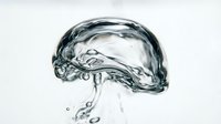 Splashing water wave isolated on white background, dynamic liquid motion for design and advertising use.
