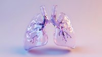 Translucent anatomical lungs with bronchial tree structure glowing in soft pink and purple gradient lighting on pastel background, medical science visualization.