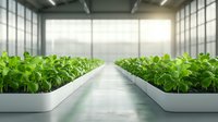 Young green seedlings growing in modern hydroponic greenhouse facility with white containers and natural lighting through translucent walls, agricultural technology.