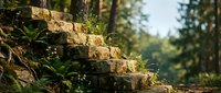 Stone steps with moss and green plants growing on them in a forest setting with blurred evergreen trees in background.