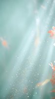 Soft pastel background with flowing light rays and sparkling particles, featuring blurred coral flowers on sides, creating dreamy, ethereal atmosphere for wellness, beauty, and lifestyle designs.