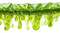 Green viscous liquid dripping with translucent slime texture, glossy surface with organic flowing shapes and droplets on white background, isolated for creative design.