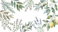 Botanical frame with olive branches, lavender sprigs, and lemon fruits arranged on white background for design, packaging, and wedding invitations.
