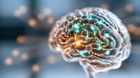 Glowing brain with golden and turquoise neural pathways, representing artificial intelligence, machine learning, and cognitive technology concepts for digital innovation designs.