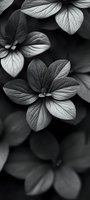 Delicate petals of flowering dogwood captured in dramatic black and white macro photography, highlighting intricate vein patterns and natural textures in soft lighting.