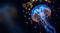 Glowing jellyfish with electric blue bioluminescent tentacles floating in dark ocean water with golden bokeh lights creating magical underwater atmosphere.