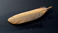 Golden metallic feather on dark background with realistic texture and detailed barbs, elegant minimalist design suitable for luxury branding and decorative elements.