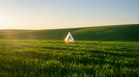 Solitary white house nestled in vast rolling green wheat field during golden hour sunrise or sunset, symbolizing rural isolation, countryside living, and agricultural landscape for real estate or lifestyle concepts.