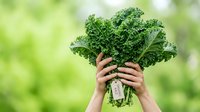 Woman's hands holding fresh kale bunch with price tag against blurred green background. Organic vegetable shopping and healthy eating concept.