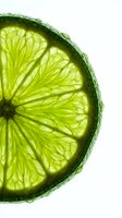 Fresh lime slice with vibrant green flesh and detailed segment texture, isolated on white background. Suitable for food, beverage, culinary, and wellness design projects.