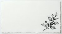 Isolated holly branch with berries and leaves on white background, ready for holiday design projects, greeting cards, and seasonal marketing materials.