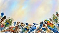 Colorful bird feathers border with peacock plumes, blue jay and parrot feathers creating decorative frame on textured background for design projects.
