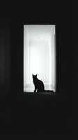 Black cat silhouette sitting in bright doorway against dark background, creating dramatic contrast for conceptual and artistic projects.
