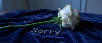 Dried white rose lying on dark blue velvet with the word Sorry written in pearls, symbolizing apology, regret, and reconciliation.