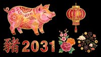 Pig with ornamental patterns and Chinese characters 2031, red lantern, and floral elements isolated on transparent background, ready for t-shirt design, stickers, and print-on-demand products.