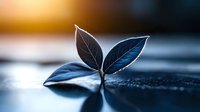 Young plant seedling with dark leaves emerging from wet surface against blurred background with dramatic lighting and shallow depth of field.