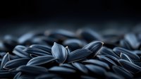 Dramatic macro shot of black sunflower seeds creating textured pattern with selective focus and moody dark lighting, natural food background for packaging design.