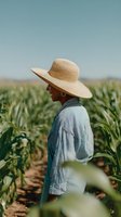 Farmer wearing straw hat and blue shirt standing in corn field during harvest season, agricultural work and rural farming lifestyle.