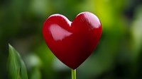 Glossy red heart shape on green nature background, romantic symbol of love and affection. Decorative element for Valentine's day designs and greeting cards.