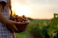 Young woman in checkered dress holding wicker basket full of fresh apples at sunset in orchard during harvest season for healthy eating and farming concepts.