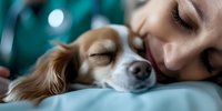 Young Caucasian woman sleeping peacefully with her small brown and white dog on blue bedding, intimate bonding moment captured in soft natural light with teal background.