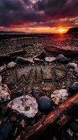 Word WILD written in sand on rocky beach at dramatic sunset, surrounded by shells and stones under stormy purple sky.