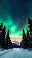 Magical northern lights dance over snowy mountain landscape with evergreen forest silhouettes and starry night sky, illuminating winter road in ethereal green glow.