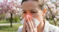 Young woman sneezing into tissue during spring allergy season with blooming cherry trees in background. Seasonal pollen reaction and respiratory health concept.