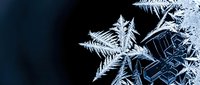 Intricate frost crystals and ice formations creating delicate winter patterns on dark surface. Natural frozen textures for seasonal designs and backgrounds.