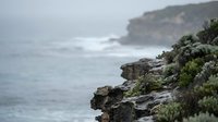 Dramatic rocky coastline with native vegetation overlooking misty ocean waves and distant cliffs on overcast day.