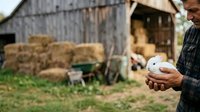 Farmer holding fresh brown egg in hand at rural farm with hay barn and countryside setting for agricultural and food production themes.