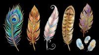 Decorative feathers in various styles isolated on transparent background, ready for t-shirt designs, clipart, stickers, sublimation and print-on-demand projects.