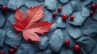 Red maple leaf among gray stones with scattered red berries creates dramatic contrast in moody autumn composition. Natural seasonal background for design.