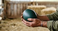 Farmer holding dark green egg in hands at poultry farm, showcasing fresh organic produce for agricultural and food industry use.