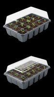 Seed starter tray with clear dome lid and seedlings in soil cells, isolated on transparent background. Ready for gardening clipart, print-on-demand products, and design use.