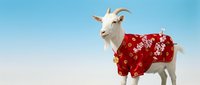White goat wearing red floral shirt against blue sky background for holiday greeting cards and festive marketing materials.